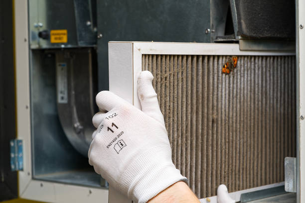 Best Commercial Air Duct Cleaning  in Ecru, MS